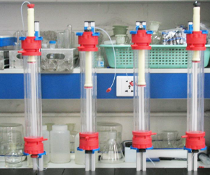 1603172272438946.png 成蹊住.png