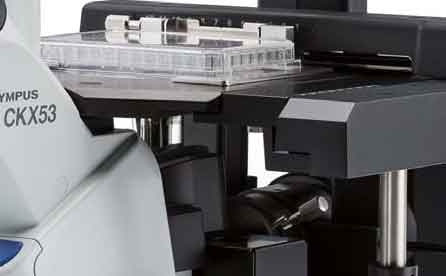 奧林巴斯Olympus顯微鏡CKX53的結構圖解