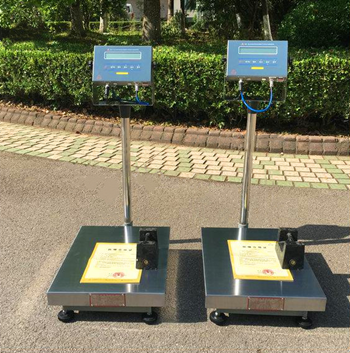 常州宏力XK3101本安型防爆臺(tái)秤