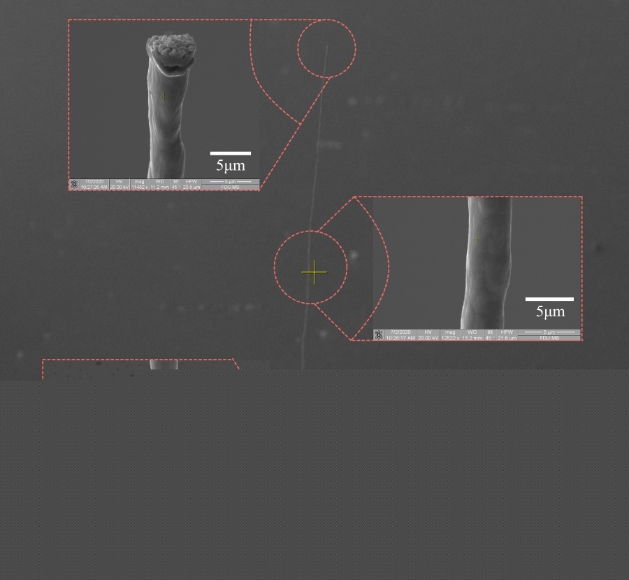 其他自由形狀1.png 其他自由形狀1.png