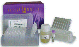 生化試劑 生化試劑