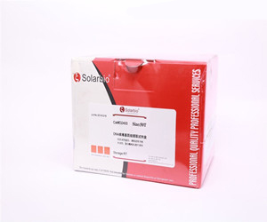 細胞凋亡 細胞凋亡