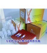 1609142365178507.jpg small_220100601111342HLB486.jpg