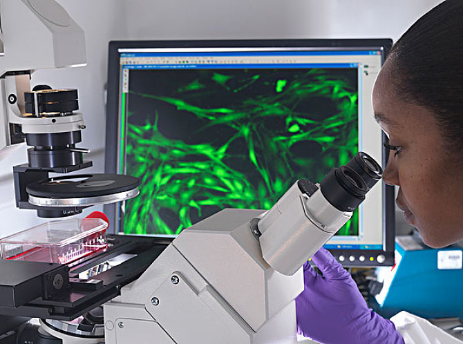 1609228529659714.jpg 1609228529659714.jpg