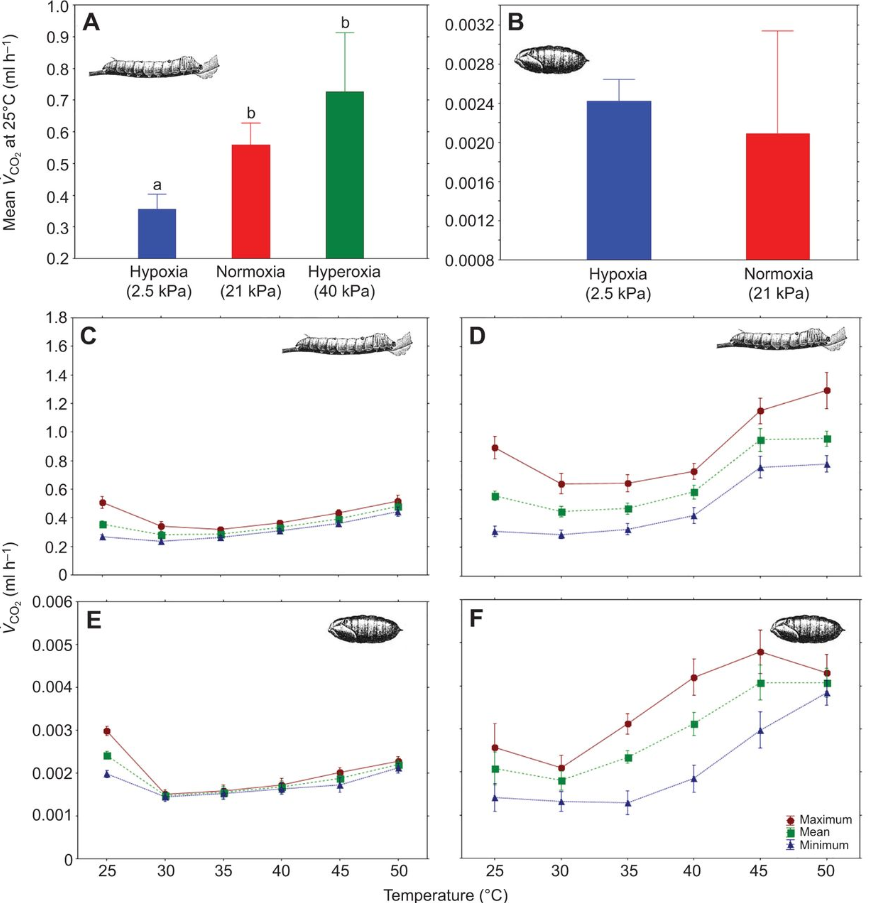 20240620-1821689306.png 3.png