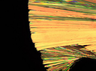 19偏光_MP41+MSX1+K3000-B 做高分子材料(藥物觀察)樣品名稱 尼群地平 1.jpg