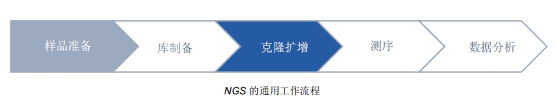 20240702-1434737220.jpg 2345_image_file_copy_1.jpg