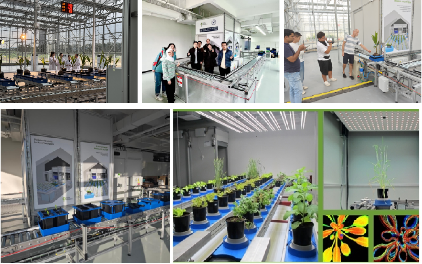 1734342958846808.png 7.png