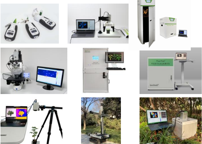 1749699989990203.png image.png