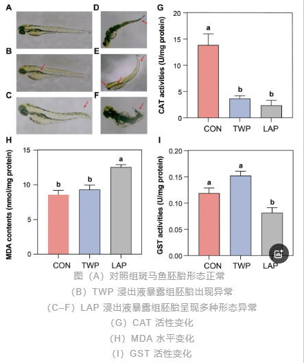 1754357445115464.png image.png