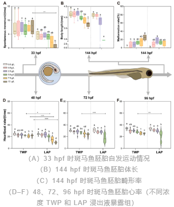 1754357411224502.png image.png