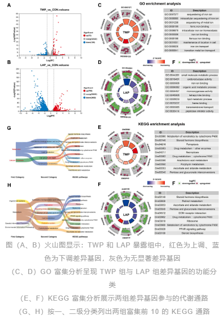 1754357468416214.png image.png