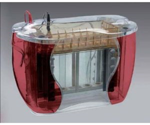 制備性垂直電泳系統Hoefer-SE600-Ruby