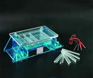 DYCP-33A型瓊脂糖水平槽(中號(hào))