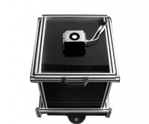 動物行為活動監測系統