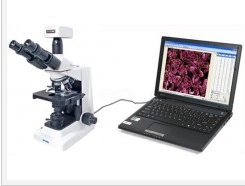 MIA-V型數字顯微圖像分析系統