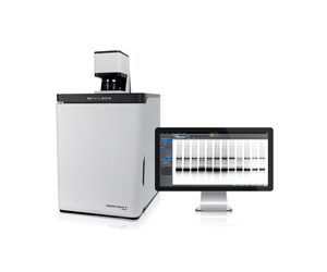 美國Wealtec ChemiStage CC-16mini化學發光成像系統