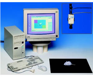 TSE位置偏好系統