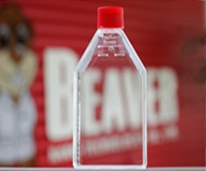 WHB-CCF75-1 75cm²培養瓶