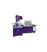 英國CamScan Apollo300場發射掃描電子顯微鏡