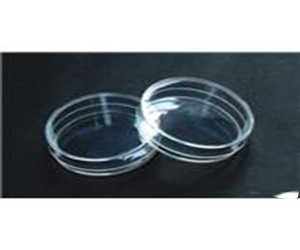 BD Falcon直徑35mm培養皿