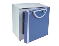 電熱恒溫培養箱BPH系列