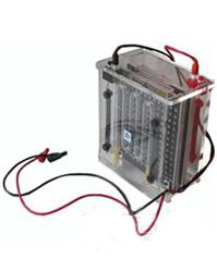 JY-ZY系列轉移電泳槽