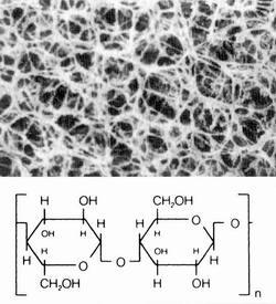 18407-013 N德國(guó)Sartorius再生纖維素（RC）膜片
