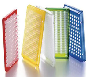 艾本德96孔PCR板 無(wú)色，白色，藍(lán)色