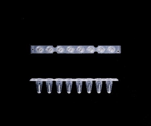 B76609 EU 0.1 ml 薄壁12聯管