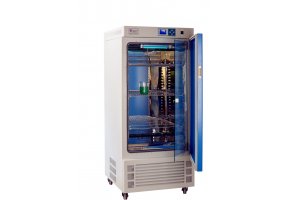 BSP-100 生化培養箱