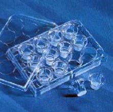 康寧Corning Transwell細胞培養小室（12孔板用）