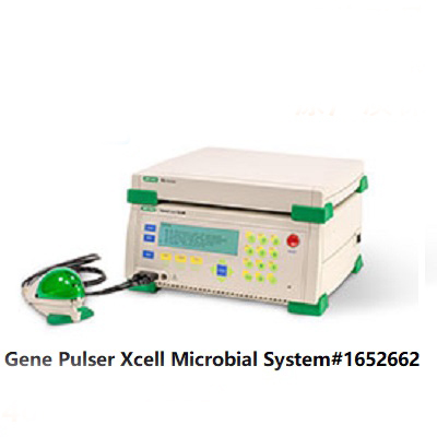 電穿孔儀微生物系統