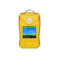 手持式氨氣NH3氣體檢測報(bào)警儀