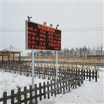 景區負氧離子監測儀器