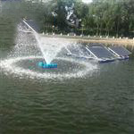 NJ-FTA3000水浮式噴泉曝氣機