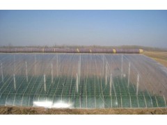 供應昌龍興農膜，地膜，纏繞膜，大棚膜，農用地膜