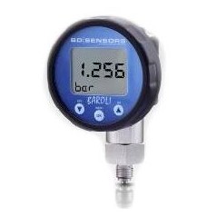 BDSENSORS 數字壓力表 DM 02系列