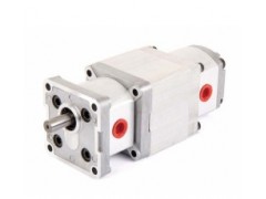 HGP-22A-F-66-R-X-4BJ_新鴻雙聯泵