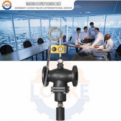 進口自力式冷卻型溫度調節閥性能參數,報價/價格,圖片