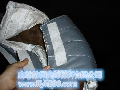 電廠保溫（汽輪機保溫套（火電、核電）、管道保溫套、閥門保溫套） (3)