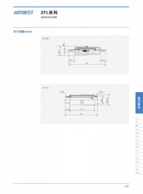 CAAP線性真空過(guò)濾器 ZFL系列 