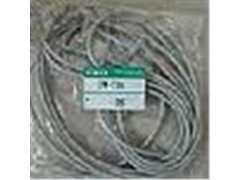 STK-20-15系列CKD磁性開關現(xiàn)貨供應 T0H