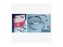 MAHLE馬勒現貨濾芯PI37004-37010