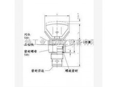 CAV型節流截止閥德國哈威hawe價格 MV-63E 0-160