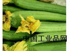 深圳市食堂新鮮蔬菜配送中心羅福區冷凍肉批發筍崗送菜公司