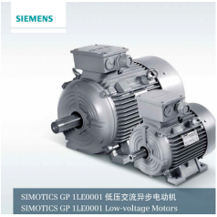 1LE0001系列鑄鐵電機