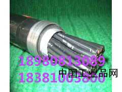 翌達電線YJV223*10+1*6平方VV銅芯硬護套線