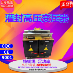定制環氧灌封升壓高壓變壓器220V380V轉1KV2KV3KV5KV6KV8KV10KV等