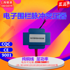 電子圍欄柵欄高壓脈沖變壓器環氧灌封雷達變換技術純銅足功率定制